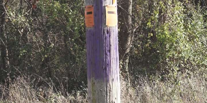 Ozark County sheriff prepares for deer season enforcement