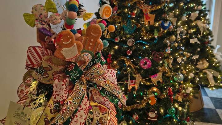 Christmas trees bring festive spirit at Brantwyn Estate in Wilmington