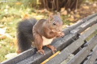 El tiempo en Soria para el martes: temperaturas en ascenso y sin lluvias