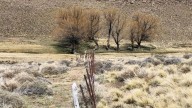 Neuquén pidió a Nación que declare la emergencia agropecuaria por sequía y otorgue beneficios impositivos
