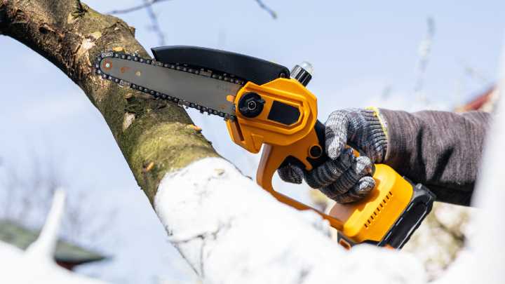 Why I Own a Mini Chainsaw (and Maybe You Should Too)