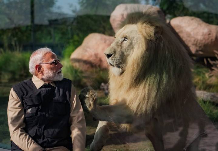 CITES flags permit inconsistencies, calls temporary halt on India wildlife imports