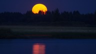 This November's 'Beaver Moon' will be the biggest seen in several years