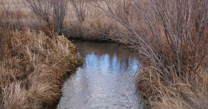 Prickly Pear Land Trust dealing with federal grant uncertainty