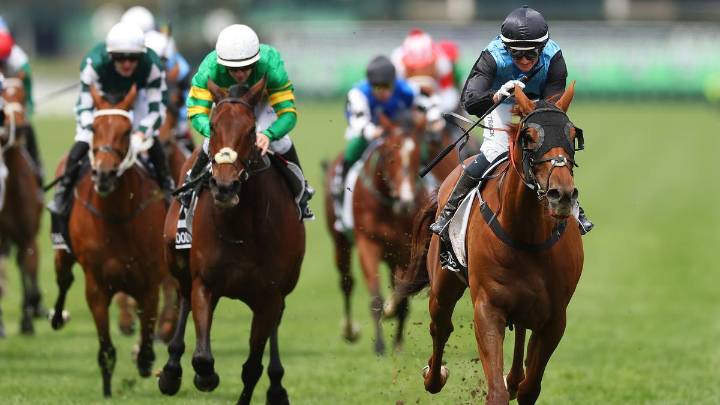 Melbourne Cup: Punter at Girrawheen WA TAB outlet collects more than $70,000 on trifecta bet
