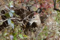 Boston Weather: Periods of rain, windy days to kick off November