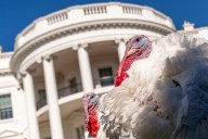Editorial: Excerpts of presidential proclamations mark Thanksgiving holiday