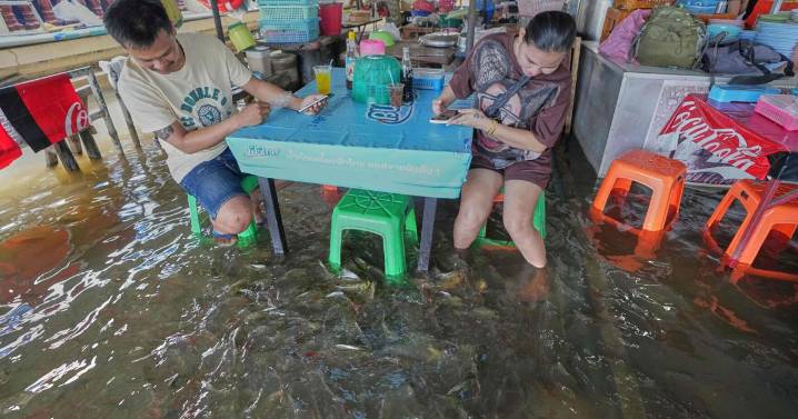 Clientes pagan por cenar con peces nadando a sus pies en Tailandia