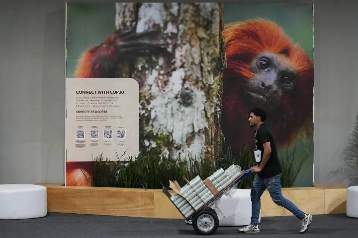 Arranca en Brasil la cumbre del clima más crucial de la década: "La Tierra es una y la humanidad es una. Las respuestas deben venir de todos y para todos"