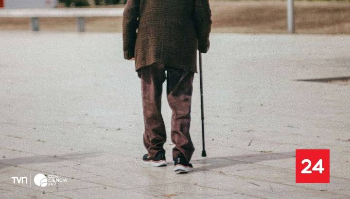 Realizar cinco mil pasos diarios podría retrasar el Alzheimer hasta siete años, según nuevo estudio