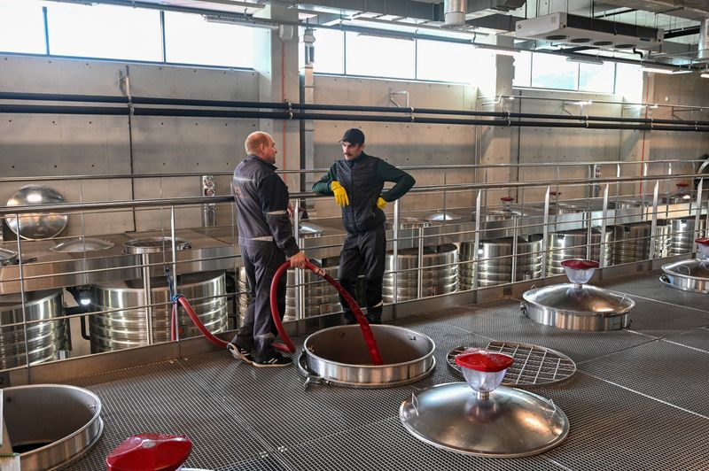 Western sanctions force Russians to turn to domestic wines 