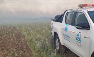 La caída de rayos generó incendios