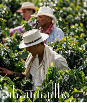 Medellín lanza programa para fortalecer 100 agencias de viajes junto a ANATO