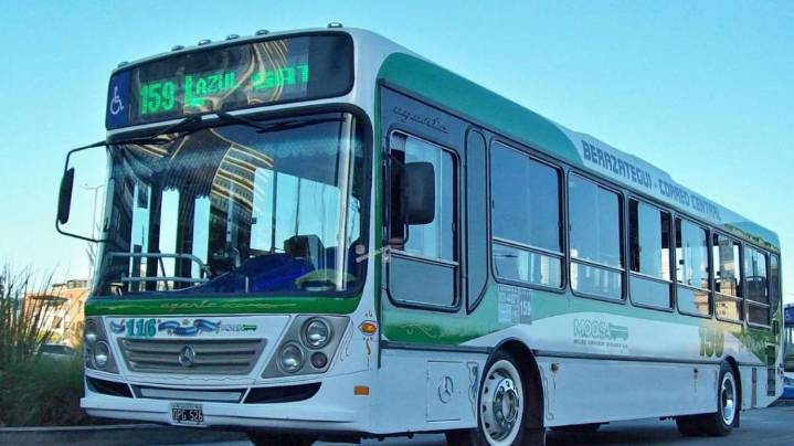 Paro de colectivos en zona sur: siete líneas fuera de servicio por falta de pago de salarios