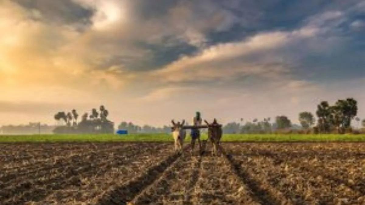 Protests begin against the ‘New Seed Bill 2025’, with a nationwide demonstration scheduled for November 26