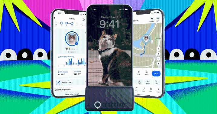 Get the Weight Off Your Fat Cat With 40 Percent Off Tractive's Pet Trackers
