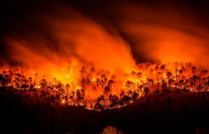 Wildfire Erupts Near Beech Mountain – 120 Acres and Growing