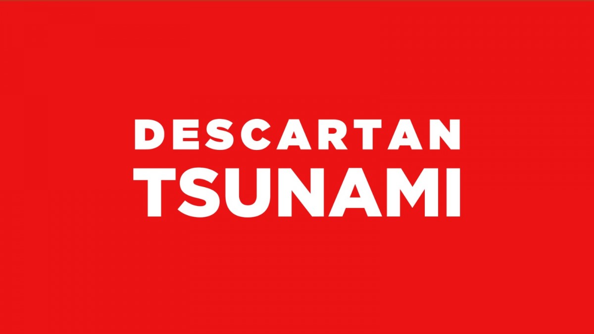 SHOA descarta tsunami en las costas de Chile tras fuerte temblor en Perú
