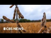 Farmer aid package could be announced within 2 weeks, USDA head says