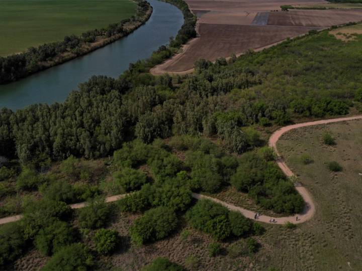 Abu Dhabi Unveils World's First AI-Powered Environmental Portal at COP30