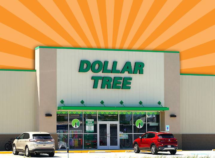 11 Best Dollar Tree New Arrivals This November