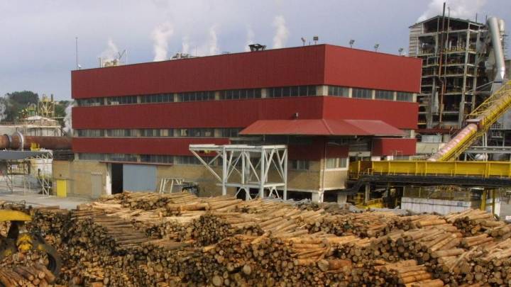 El plan de ajuste que Ence presentó para Navia afectaría a un máximo de entre 20 y 30 trabajadores, con prejubilaciones voluntarias