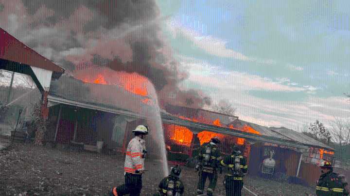 Attleboro barn fire kills 1 horse