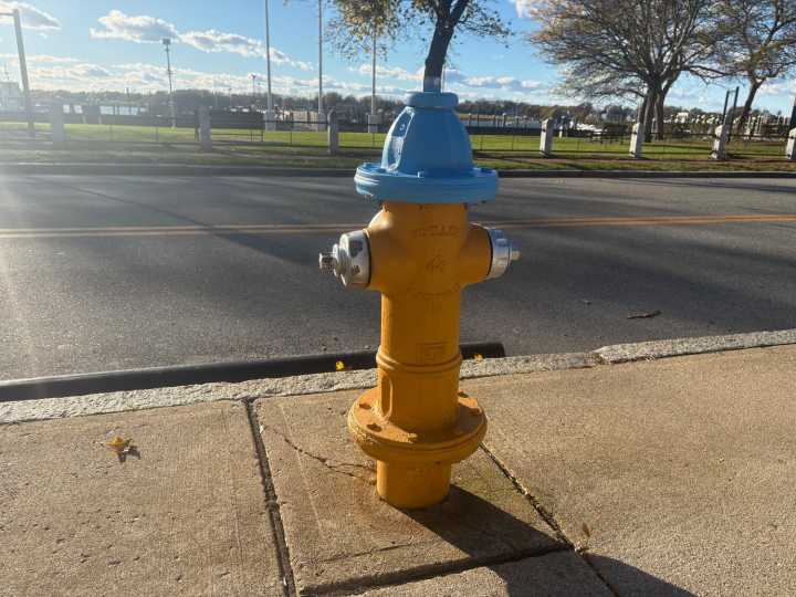 Hydrants get jaunty new hats