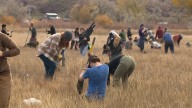 Volunteers help plant up to 50,000 trees this weekend at the Bear River Massacre Site