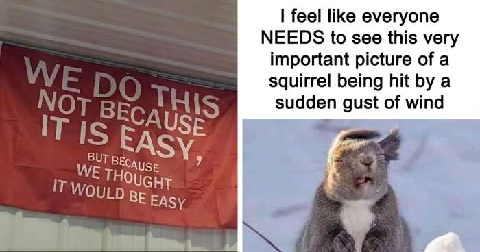 40 Hilariously Relatable Memes From ‘Cheerful Nihilism’
