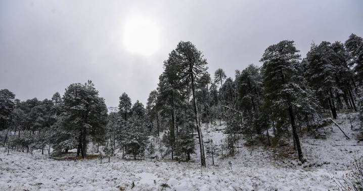 Frente frío 15 todavía no se va... pero ya se acercan el 16 y la primera tormenta invernal