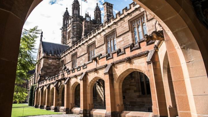 Sydney University report critical of levels of middle management, poor student support and bureaucratic inefficiencies