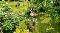 How To Transform Your Garden Into A Natural Paradise In Less Than A Year