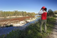 La Rioja detecta el primer caso de gripe aviar en una grulla