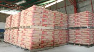 Industria nacional prevé producir 8 Mt de cemento para 2026