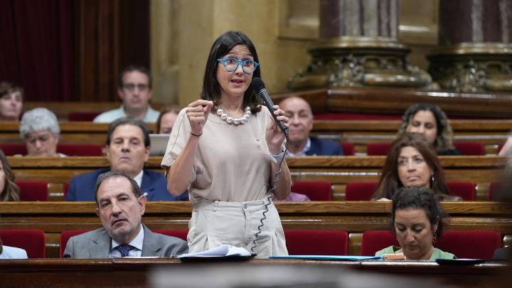 La Generalitat defiende "ajustes quirúrgicos" en el Código Penal para hacer frente a la multirreincidencia