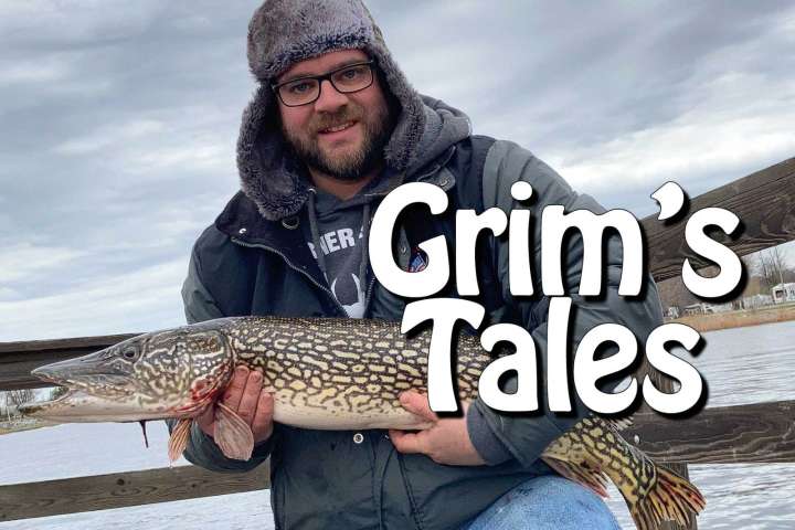 Grim's Tales: Here's to 40 unpredictable years