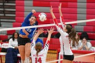 Haley Burgdorf: Aurora-Elgin girls volleyball player of year