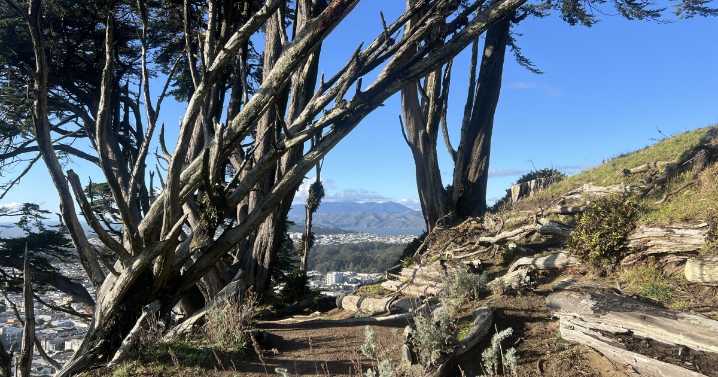 Revisiting San Francisco's Crosstown Trail
