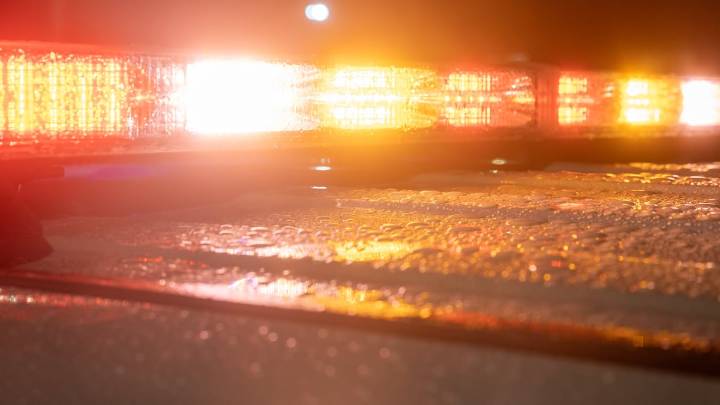 Dunedin High student dies weeks after car crashed into his bicycle