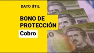 Bono de Protección: Así puedes cobrar el beneficio para dueñas de casa