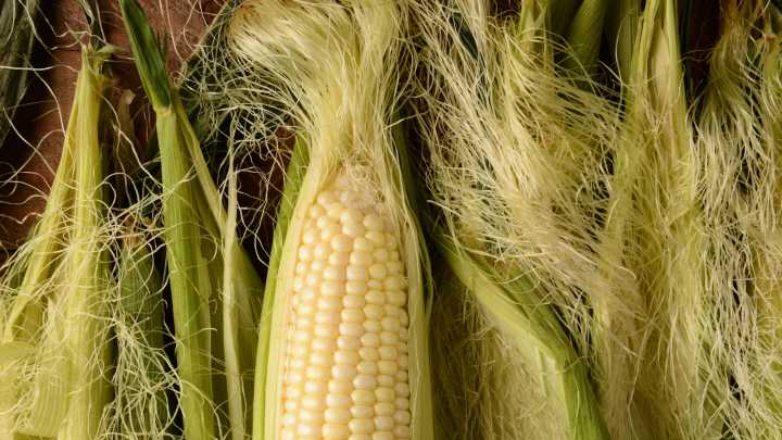 How To Reuse Corn Silk To Make Tea