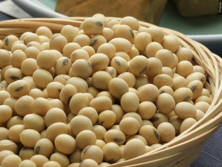 USDA data casts doubt on China’s soybean purchase promises touted by Trump