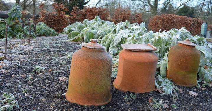 Birmingham forecast for temperatures between