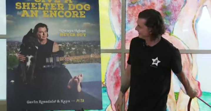 Gavin Rossdale promotes PETA's "Adopt, Don't Shop" pup campaign