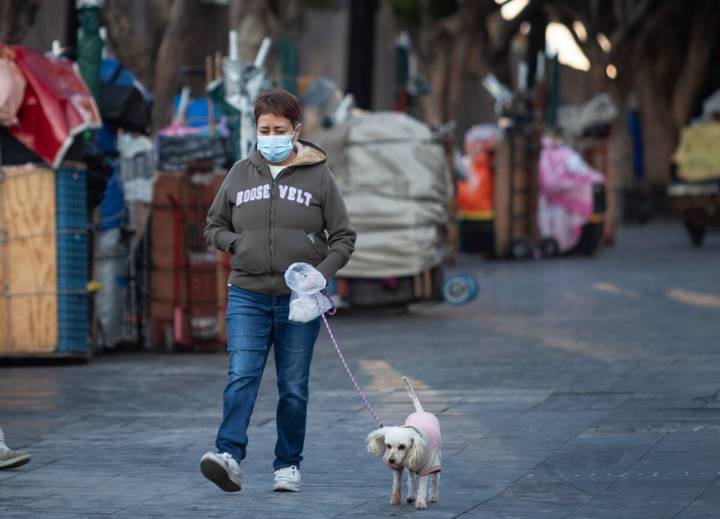 Clima CdMx: pronóstico en la capital para este viernes; activan alerta por frío en seis alcald...