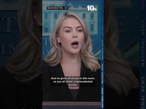 Karoline Leavitt defends Trump for telling reporter 'quiet, piggy' during Air Force One gaggle