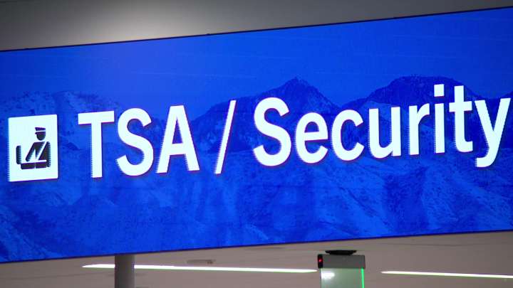 Government shutdown sparks dire air travel warning if it continues: 'mass chaos' possible