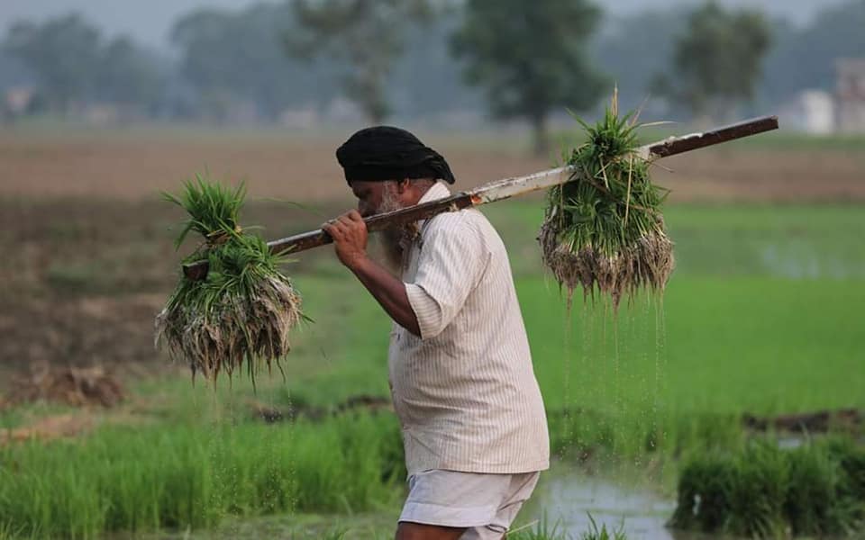 Maharashtra Farmer Receives Rs 6 Compensation for Flood