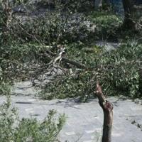 Deadly Typhoon Kalmaegi ravages Vietnam, Philippines